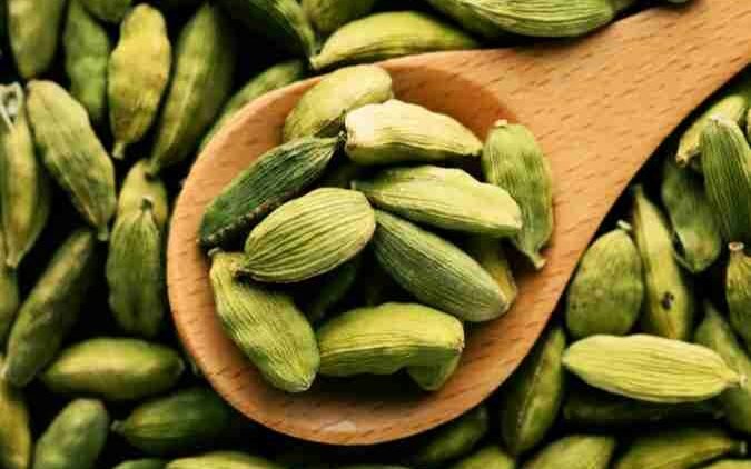 CARDAMOM: