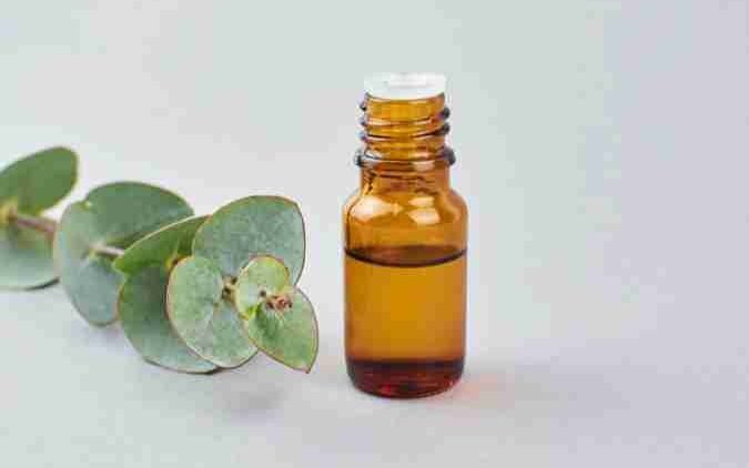 EUCALYPTUS