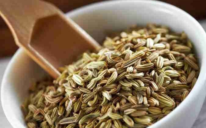 FENNEL