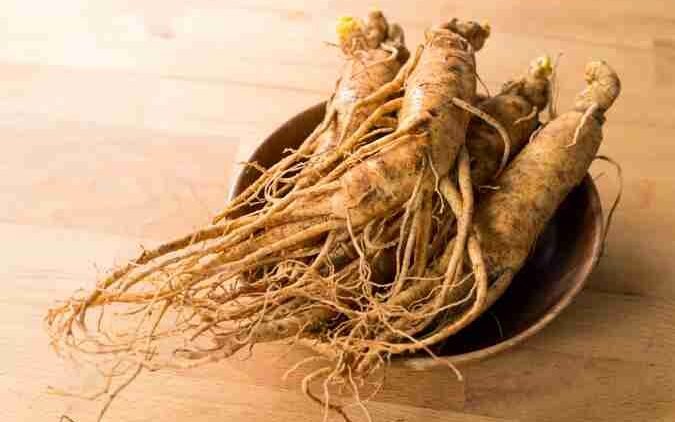 GINSENG