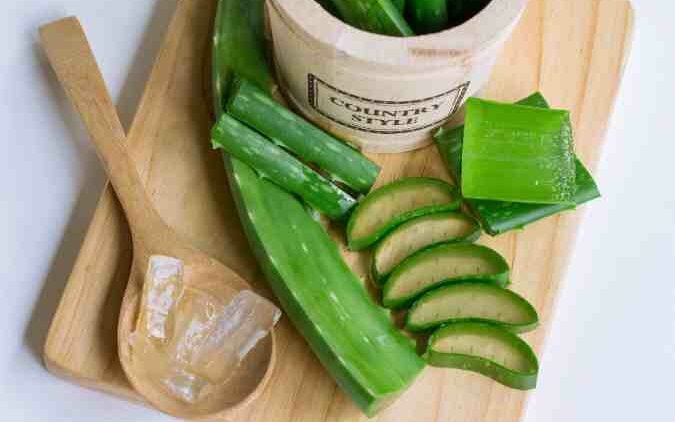 ALOE VERA: