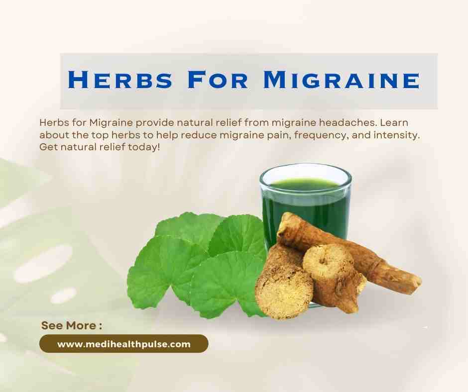 Herbs For Migraine - MediHealthPulse